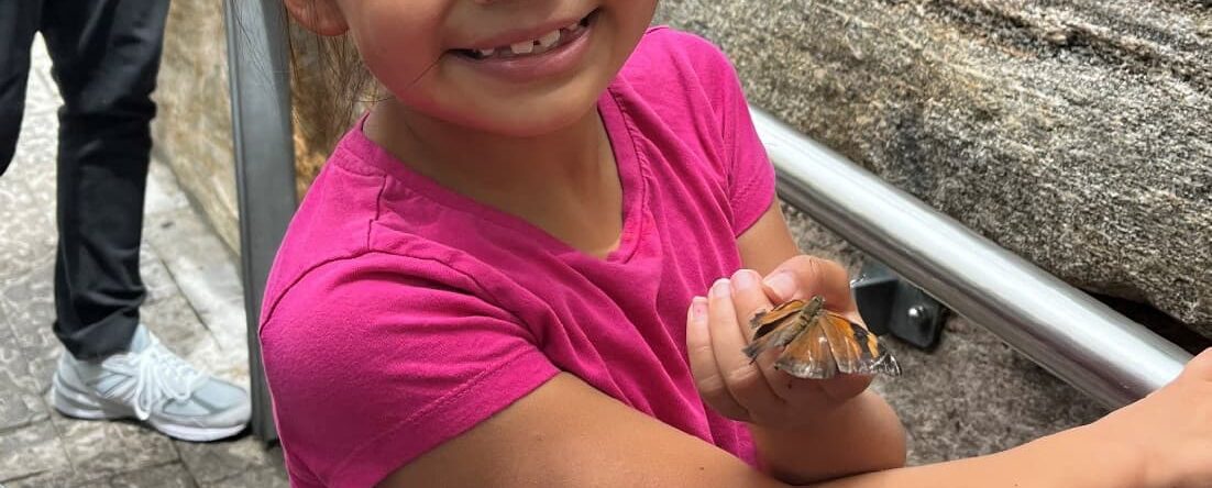 girl holding butterfly