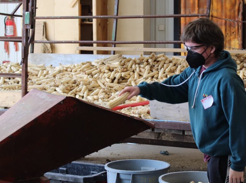 Boy with corn